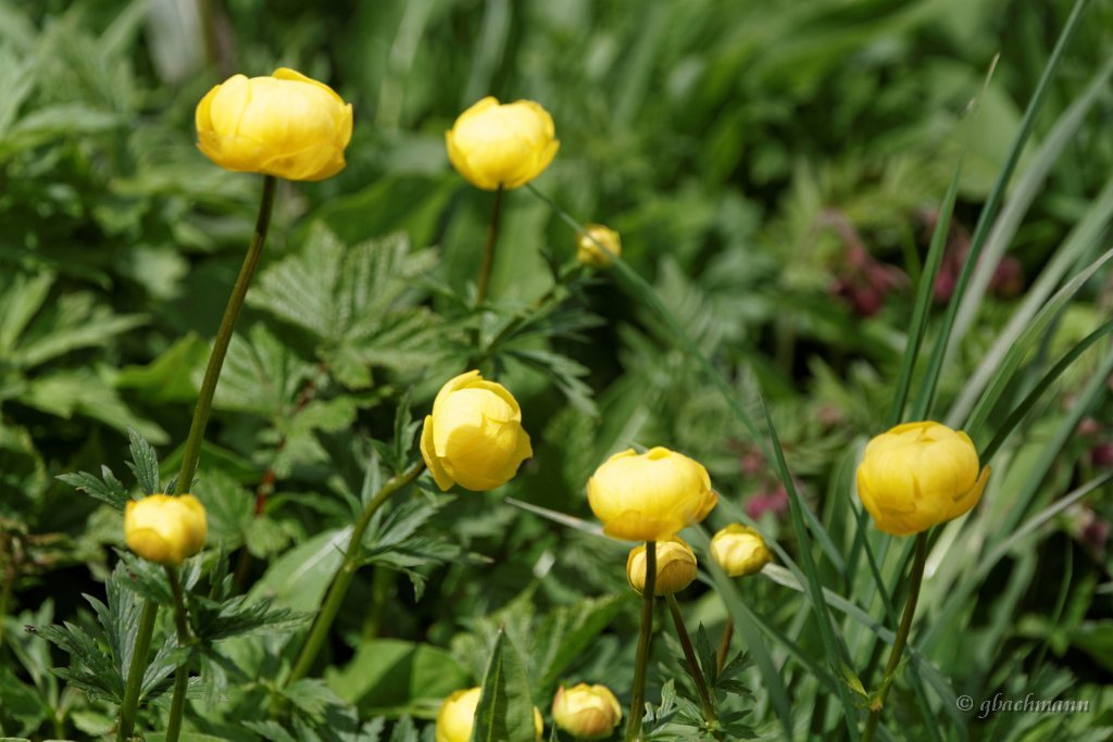 20140525_055